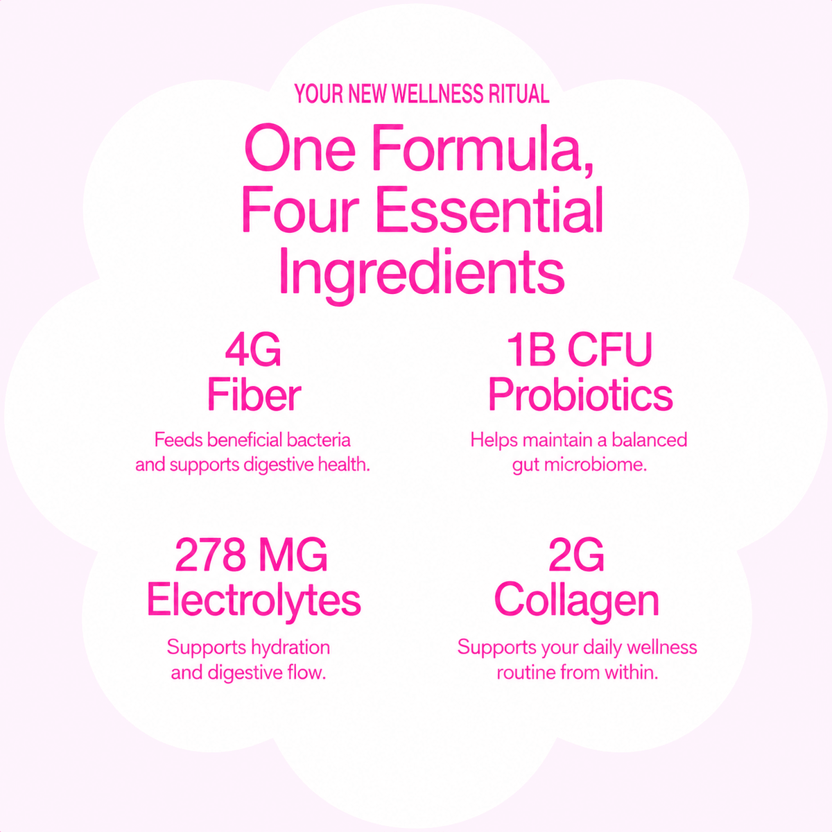 Watermelon Fiber Powder