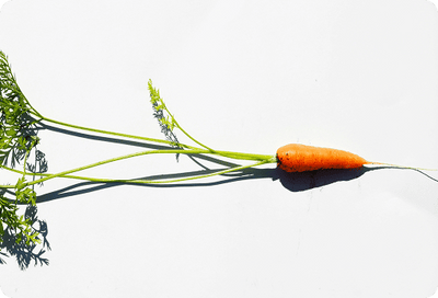 1 MEDIUM CARROT