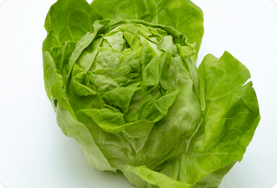 1 cup iceberg lettuce