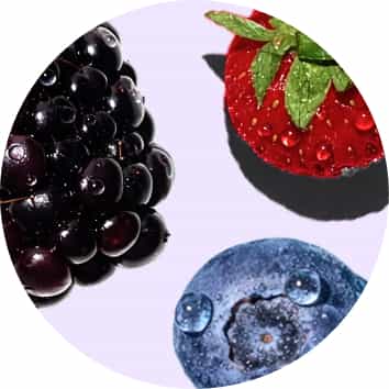 Wild Berry