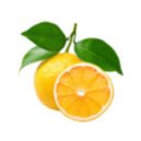 Orange Mandarin Yuzu