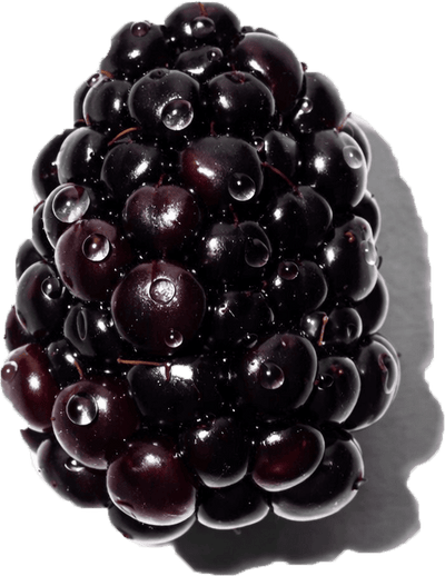 Blackberry