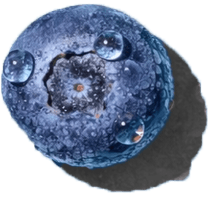 Blueberry